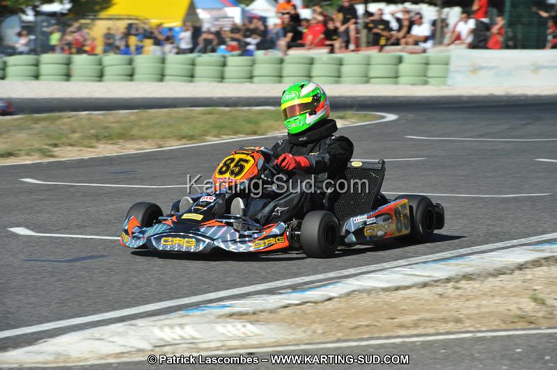 DSC (2513).JPG